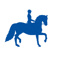 Icon Dressage Sticker by CHIO Aachen