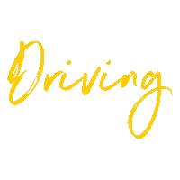 Weltfestdespferdesports Driving Sticker by CHIO Aachen