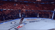 Mixed Martial Arts Sport GIF by UFC