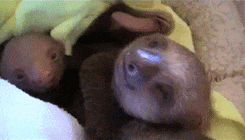Baby Tongue GIF