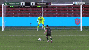 GIF by Washington Athletics