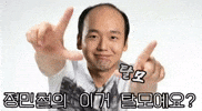 배급견 GIF