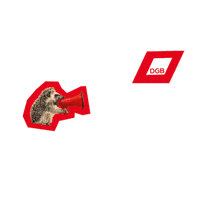 Scream Hedgehog GIF by Deutscher Gewerkschaftsbund (DGB)
