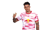 Happy Rb Leipzig Sticker by Bundesliga