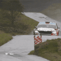 Motorsport Rallying GIF by FIA European Rally Championship