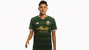 Portland Timbers Marco Farfan GIF by Timbers