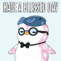 Good Morning GIF by Pudgy Penguins