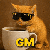 Good Morning Cat GIF by Binance.US