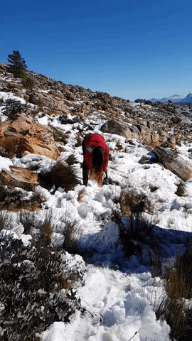 jaycaboz giphyupload GIF