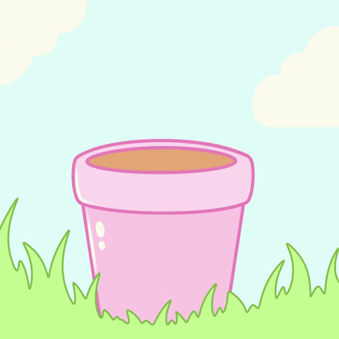 Happy Growing Sunflower Friend