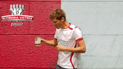 Loss Losing GIF by Alcmaria Victrix
