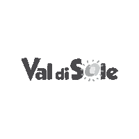 valdisole  Sticker