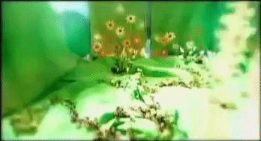 k-pop GIF