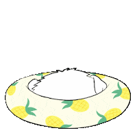 Cat Animal Rights Sticker