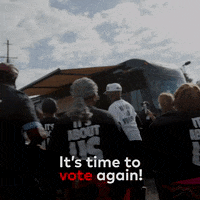Vote Voting GIF by Black Voters Matter Fund