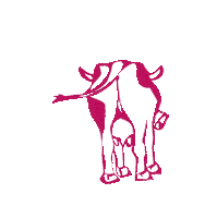 Maisalm saalbach homeoflässig maisalm Sticker