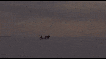 Shohei Imamura Travel GIF by Arrow Academy