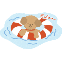 Kellysco relax poodle kco kellysco Sticker