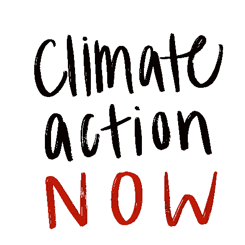 ecochicpodcast climate change climate action climate action now ecochic Sticker