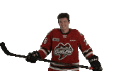 Ohl Guelph Sticker by GuelphStormHockey