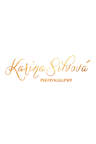 karinasilvovaphotography giphyupload logo text gold Sticker