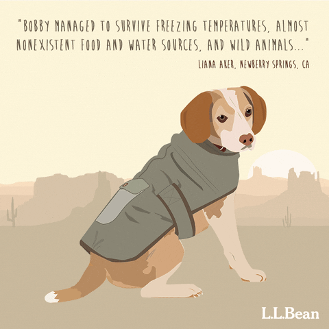 dog quote GIF by L.L.Bean