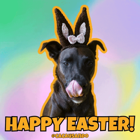 Dog Puppy GIF