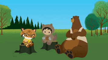 appexchange cat excited yay jump GIF