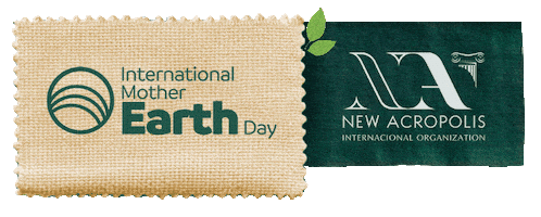 Novaacropole Sticker by Nova Acrópole Brasil