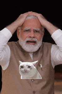 Pm Modi GIF