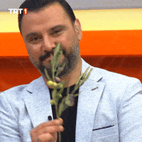 Excuse Me Love GIF by TRT