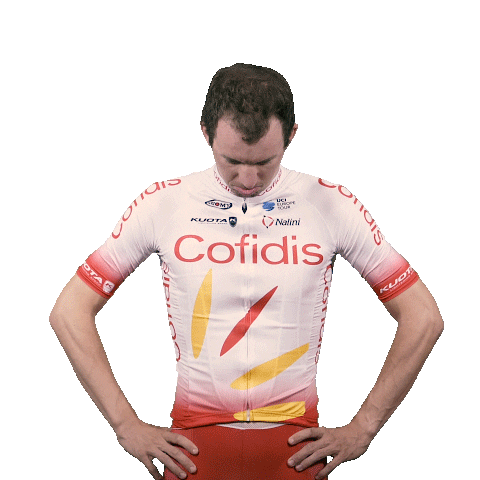 team cofidis smile Sticker by Team Cofidis - #CofidisMyTeam