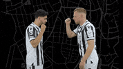 Svs1916 GIF by SV Sandhausen