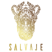Besalvaje Sticker by Salvajeworld