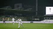 Karbo GIF by Legia Warszawa