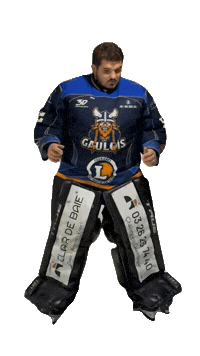Celebration Goal Sticker by Hockey Club Châlonnais