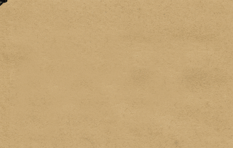 woperovski giphyupload artist ocean whale GIF