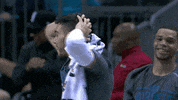 charlotte hornets wow GIF by NBA