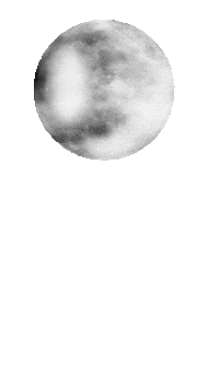 Moon Book Sticker by Penelope Wylde