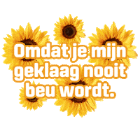 Flowers Plant Sticker by Groen van bij ons