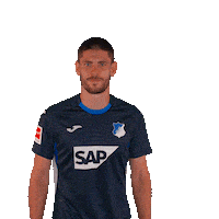 Andrej Kramaric Sport Sticker by TSG Hoffenheim