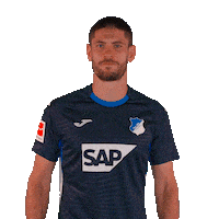 Andrej Kramaric Sport Sticker by TSG Hoffenheim
