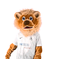 KSVHessenKassel football fussball lions maskottchen Sticker