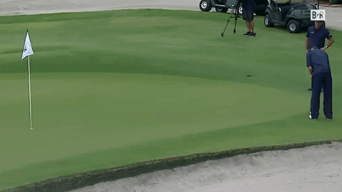 VicVik giphygifmaker GIF