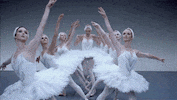 shake it off taylor swift GIF