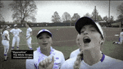 Fun Softball GIF by Northwestern Athletics