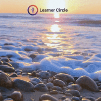 Travel No GIF by Learner Circle