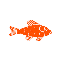Fish Sticker by ualcatering