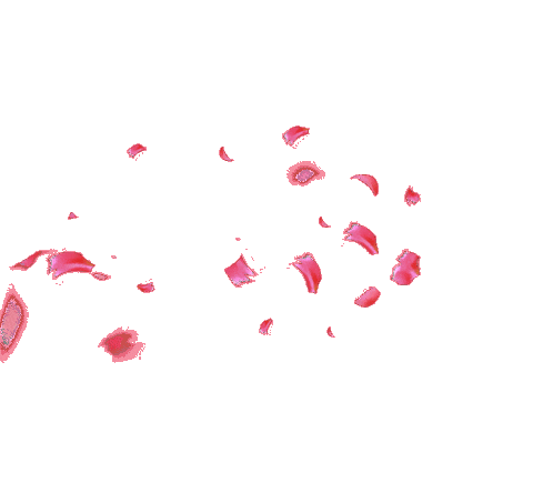 San Isidro Sticker by Visita Madrid