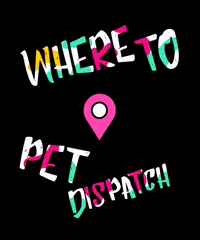 Dog Day Cat GIF by WHERE TO PET ?